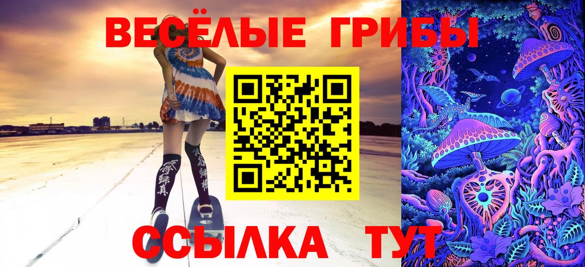 Псилоцибиновые грибы MAGIC MUSHROOMS Кыштым