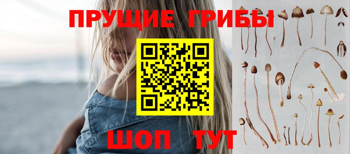 Кыштым  Псилоцибиновые грибы Magic Shrooms  Псилоцибиновые грибы ЛСД  Вход с VPN 